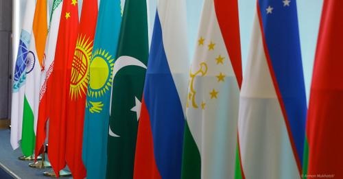 Work of the Shanghai Cooperation Organization-large-scale-political expert